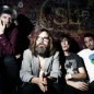 The-Amplifetes